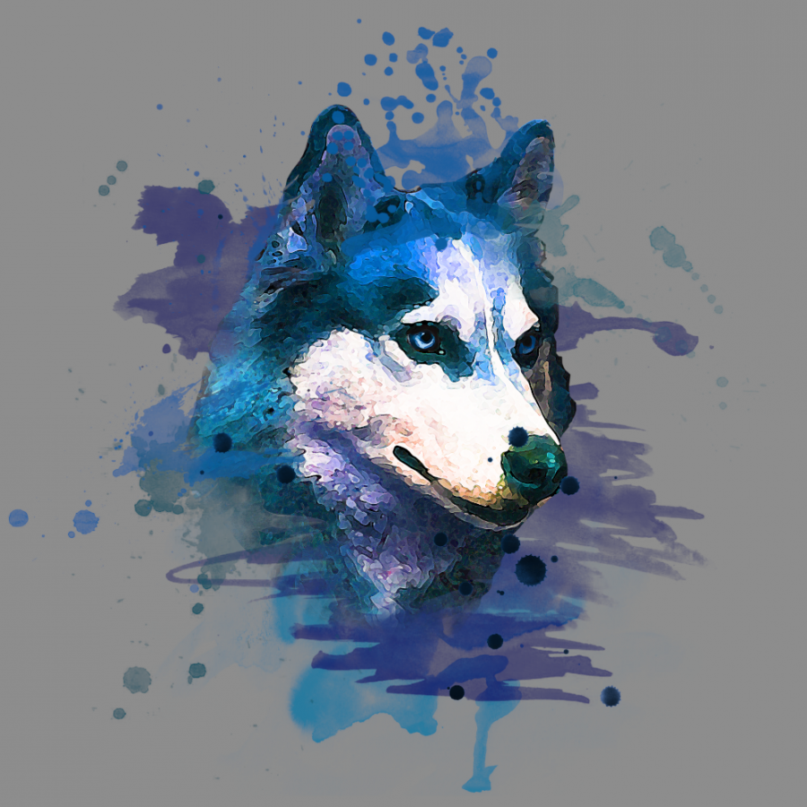 Minipanel Wolf Kopf blau Husky - grau 25x25cm