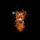 Panel Fuchs digital orange - schwarz